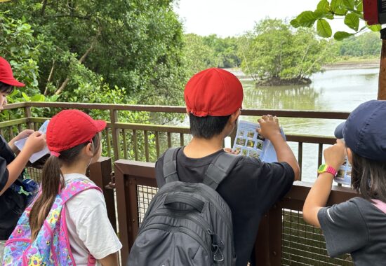 スンゲイブロウ湿地帯へGO！　５年生