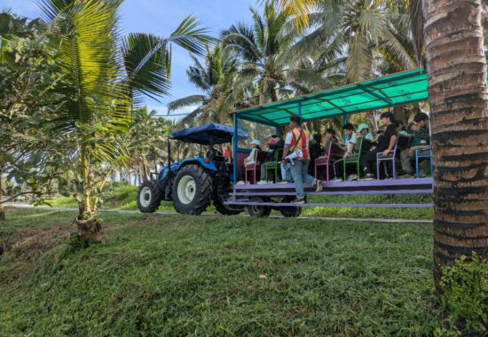 フルーツバレー　６年生