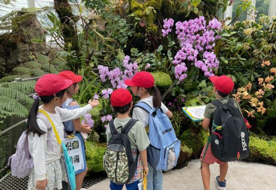 【２年生】自然の中で広がる学びの一日～ボタニックガーデン校外学習～