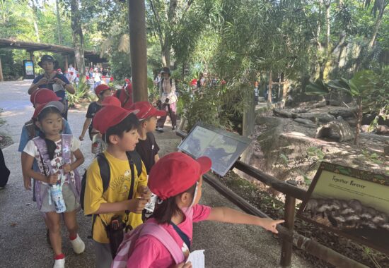 シンガポールZOOへGO　１年生