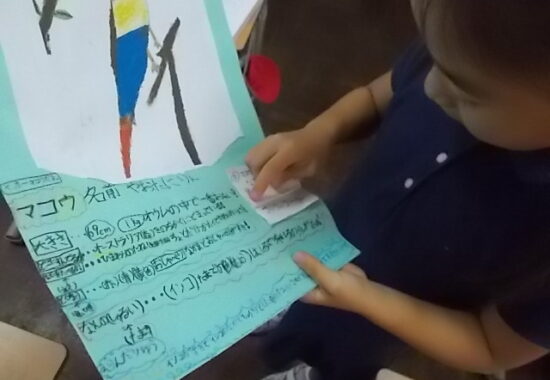 好きな鳥をクイズで紹介 2年生