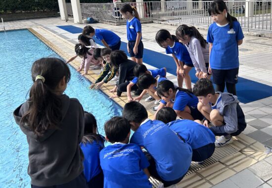 分数の不思議に触れて　３年生