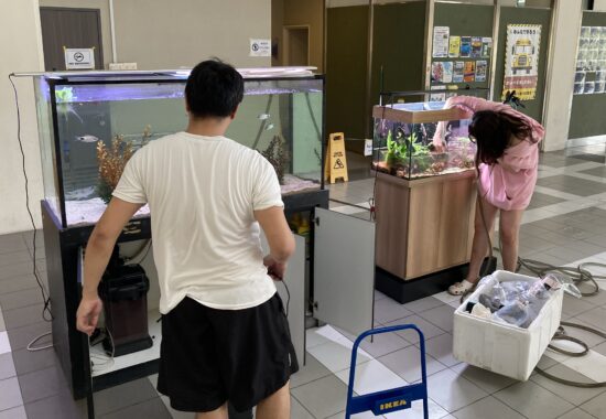 輝きを増すエントランスホール