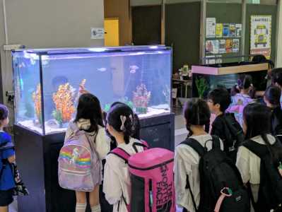 彩り豊かな朝の風景