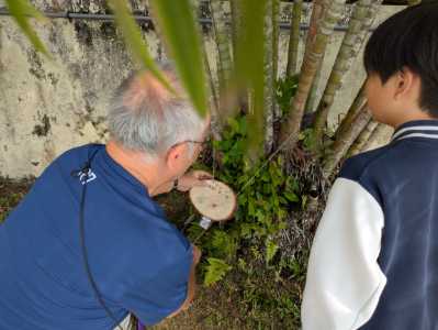 未来への足跡　６年生